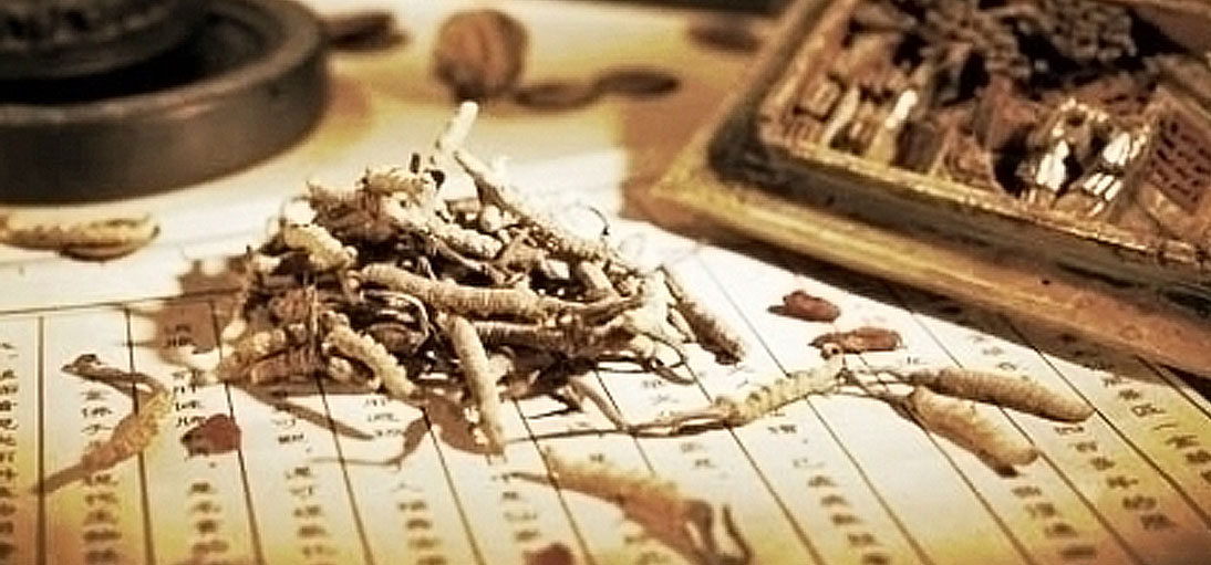 Categorizing Chinese herbs